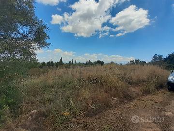 Poggio dei pini due lotti adiacenti da 2000 mq