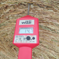 Foraggio annata 2025