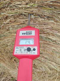 Foraggio annata 2025