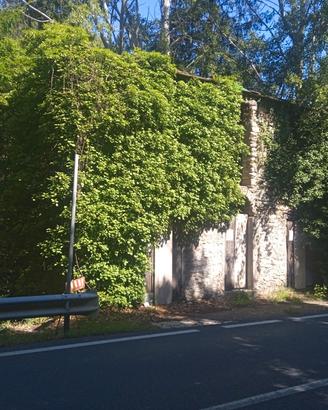 Casa indipendente con giardino