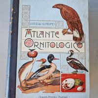 Atlante ornitologico antico