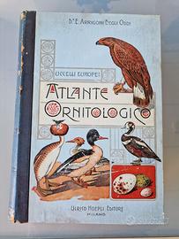 Atlante ornitologico antico
