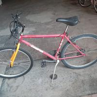 Bicicletta Mtb