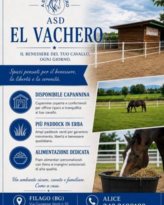 Cavalli paddock