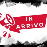 NISSAN Qashqai 1.6 dCi 4WD N-Connecta