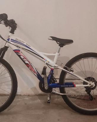 bicicletta 24"