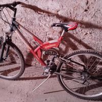 Bicicletta Mountain bike ammortizzata
