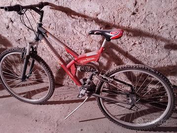 Bicicletta Mountain bike ammortizzata