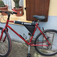 Mountain bike Olivieri 