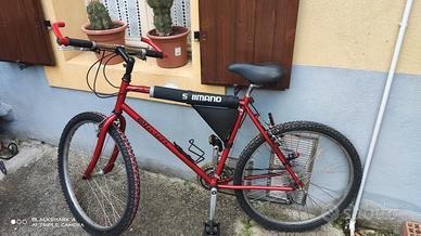 Mountain bike Olivieri 