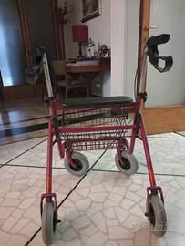 Deambulatore da interno e esterno