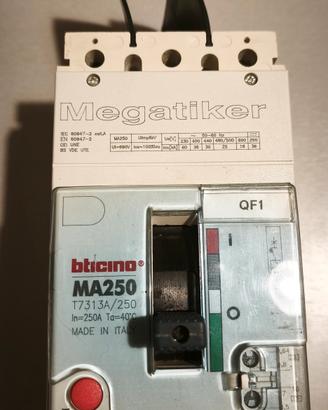 Megatiker
