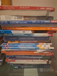 libri  liceo Manzoni Mi a metà prezzo