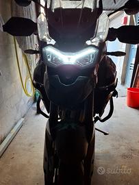 Triumph Tiger 900 gt