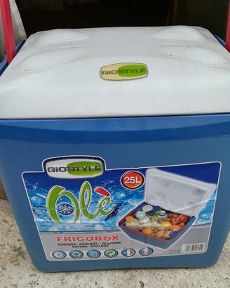 Borsa frigo