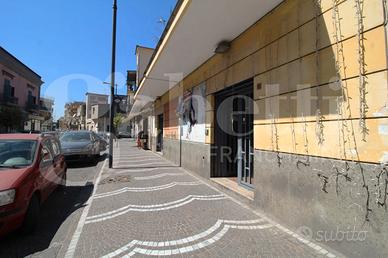 Negozio Arzano [3160425ACG]