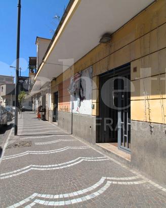 Negozio Arzano [3160425ACG]