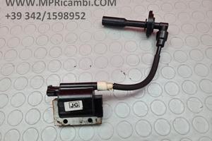 BOBINA PIPPETTA KTM DUKE 125 2017 2018 2019 RC 202