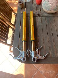 Forcelle ohlins fgrt 8020