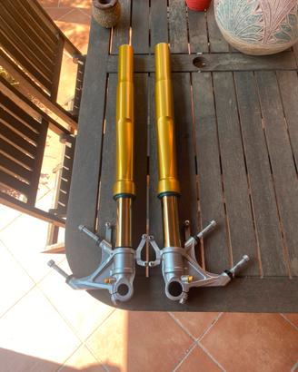 Forcelle ohlins fgrt 8020