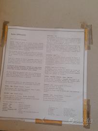 quadro di Sylvia Lefkovitz 