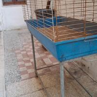 Gabbia per roditori