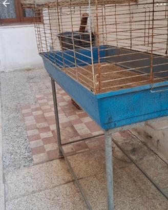 Gabbia per roditori