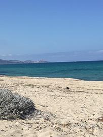 Costa Nord nel Golfo dell'Asinara Valledoria