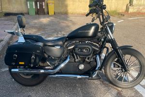 Harley Davidson 883 Iron XL
