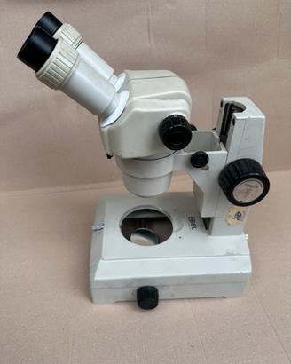Microscopio 10x