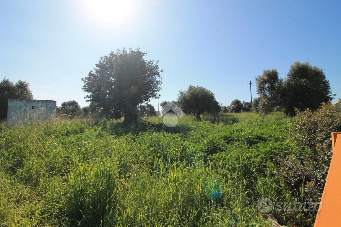 TER. RESIDENZIALE A OSTUNI - Vista 4
