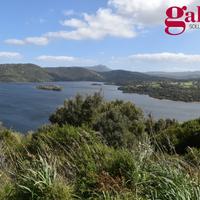 Terreno Agricolo Luras [cod. rif6044780VCG]