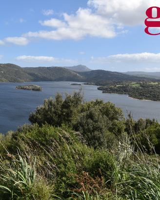 Terreno Agricolo Luras [cod. rif6044780VCG]