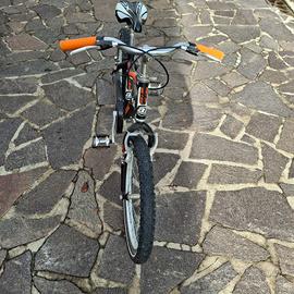 Bici bimbo 20 atala
