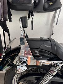 Sissy bar sportster harley
