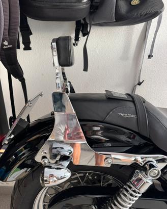 Sissy bar sportster harley