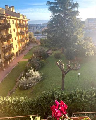 Grazioso Appartamento a Frascati con Ascensore
