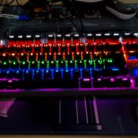 Tastiera Gaming Trust GX – RGB – Usata