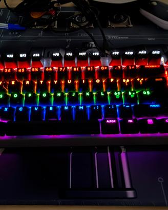 Tastiera Gaming Trust GX – RGB – Usata