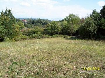 TERRENO Mq. 3.600 a CECCANO località La Spina