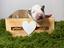Immagine 6