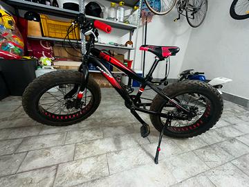 Fat bike