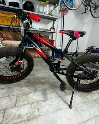 Fat bike