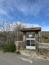 Terreno Edificabile - Randazzo