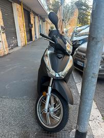Sh 300i 2020