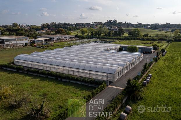 Impianto serricolo con terreno 1,3 ha, Roma Tr.360