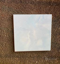 23 piastrelle 20x20 lucide