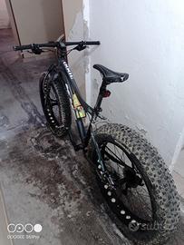 fat bike 