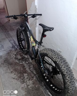 fat bike 