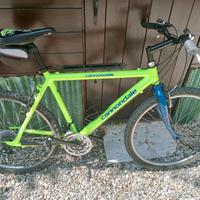 Cannondale MTB